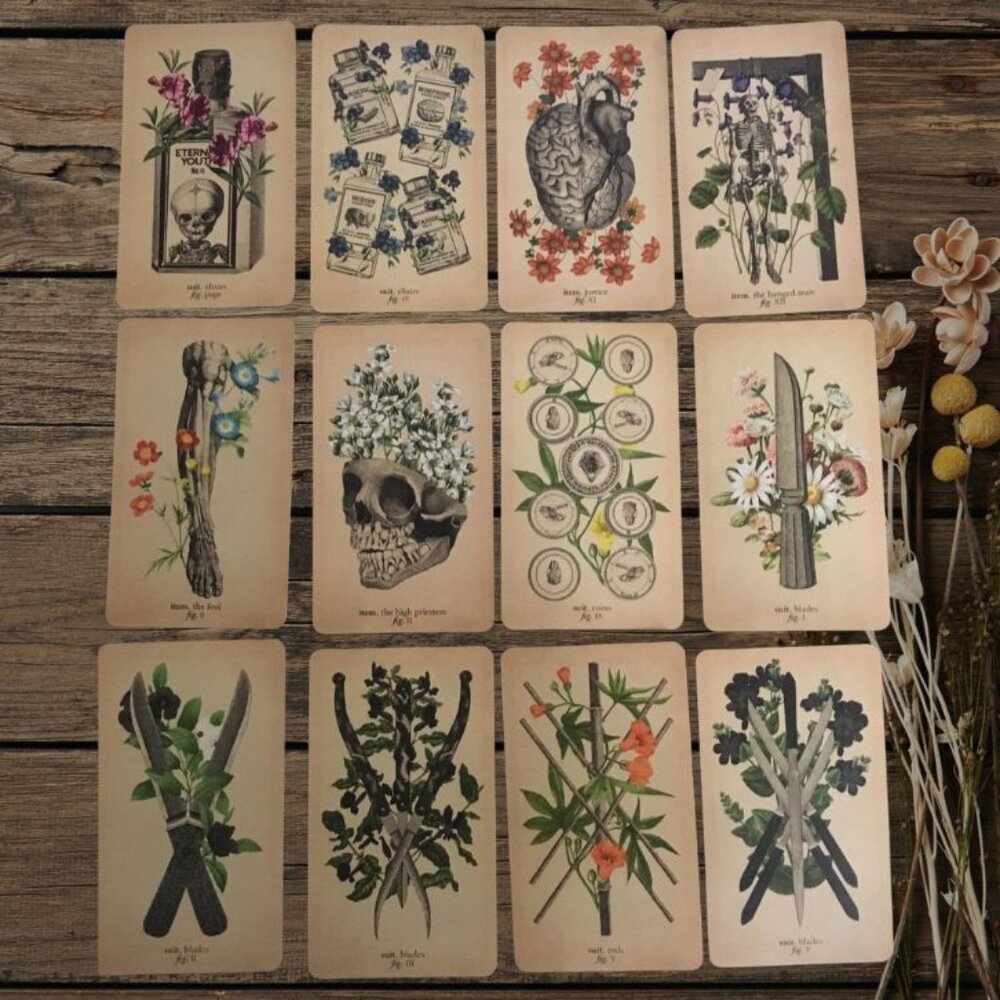 Antique Anatomy Tarot Deck | 78-Card Tarot with Guidebook | Gift Ready - Picture 9 of 16